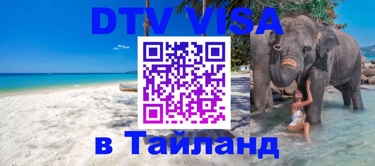 Оформление DTV визы под ключ: стоимость и тарифы, только загранпаспорт - Чебоксары  10.01.2026 